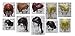 LEGO City Bulk Lot of Female/Girl Minifigure Hairs, Quantity 10 Different