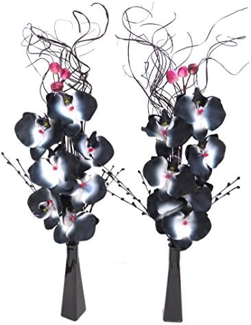 Link Products set of 2 White & Black orchid displays in glass vases Home Living, Gift, Wedding Tables