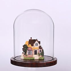 Moonlear Glass Cloche Bell Jar Display Dome with