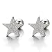 2pcs Star Stud Earrings for Men Women, Stainless Steel Screw Back, Satin Finished