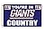 NFL 3-by-5 Foot Flag with Grommets