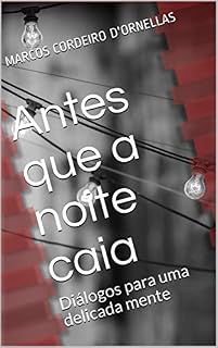 Livro Antes que a noite caia: Diálogos para uma delicada mente