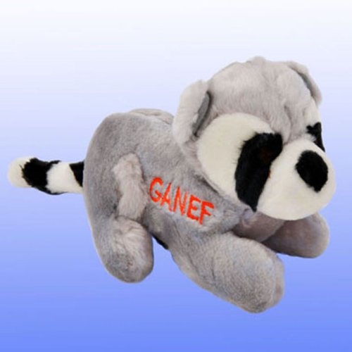 Copa Judaica Chewish Treat Ganef Racoon Squeaker Plush Dog Toy, 8 by 3 by 5-Inch, Multicolor