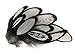 Moonlight Feather | 1 Dozen - Natural White Whiting Farms Laced Hen Saddle Feathers Fly Tying Craft Halloween Supply