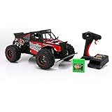 dune rebel rc pro speed