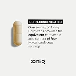 2400mg 4X Concentrate Cordyceps Mushroom Extract