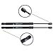 Mifeier Rear Window Glass Gas Lift Supports Strut Shocks Fit 05-10 Grand Cherokee,Set of 2
