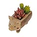 Tinksky Ladybug Piggy Stump Flower Sedum Succulent Pot Planter Bonsai Box Plant Bed Home Garden Pot Decor christmas gift