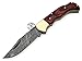 Dollar Wood 6.5'' 100% Handmade Damascus Steel Folding Pocket Knife 100% Prime Quality Back Lock
