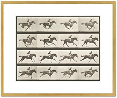 Annie G.' galloping (Animal Locomotion, 1887, plate 623) by Eadweard Muybridge, . Framed Art Print