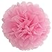 HAZOULEN Tissue Paper Pom Poms for Party Decorations, 10