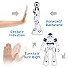 ANTAPRCIS Rc Robot Toys Gifts for Kids - RC Gesture Remote Control Robot Programmable with Infrared Controller and LED…
