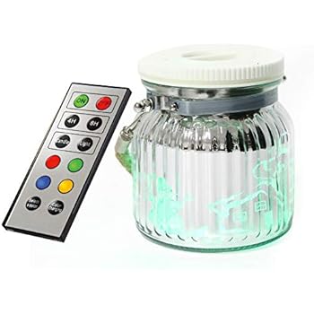LED Color Changing Mason Jar Lantern Light Battery ...
