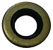 Sierra International, 18-2032, Oil Seal