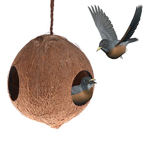 Jim-Hugh Bird Feeder Nest Dispenser Food Feeding Hiding Cave Coconut Shell Parrots Hanging House