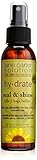 Jane Carter Solution Seal and Shine, 4 Ounce