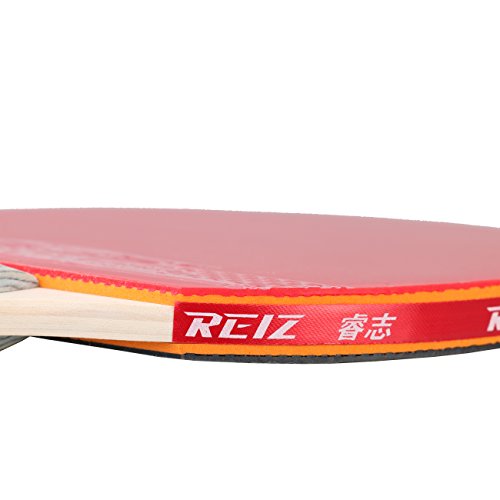 Anser 1 Star Short or Long Handle Ping Pong Paddle Table Tennis Racket with Case (Short Handle)