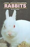 Rabbits by Paul R. Paradise