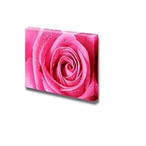 Pink Rose with Water Droplets Close Up Wall Decor
