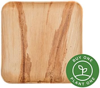 10 Heavy Duty Disposable and Home Compostable Party Plates made from Palm Leaf • 9 inch Square