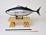 Bluefin Tuna Butchering Model