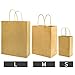Large Paper Bags with Handles Bulk,10x5x13 Inch 50 Pack,Bagmad Big Kraft Paper Shopping Bags,Gift Natural Party Retail Craft Brown Mechandise Take Out Bags (Natural 50Pcs)