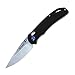 Ganzo G7531 Folding Pocket Knife 440C Stainless Steel Blade G10 Anti-Slip Handle with Clip Hunting Fishing Camping Folder Outdoor EDC Knife (Black)