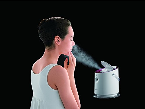 Panasonic Nanoe Nano Care EH-SA60-P Pink Ion 2 Way Steamer (Japan Import)