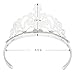 XiangGuanQianYing Silver Braid + Princess Crown + Magic Wand Halloween Toy Tiara kit