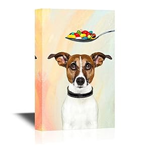 Vet Canvas Wall Art - A Spoon of Colorful Pills and a Dog Funny Vet Art - Gallery Wrap Modern Home Art | Ready to Hang - 12x18 inches