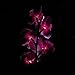 Orchid Solar Flower, LED Solar Flower, LED Light, Outdoor Light,LED (Pink)