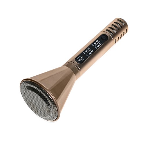 Kids Microphone Karaoke Machine, Portable Wireless Karaoke Player Handheld Microphones Toy Bluetooth Speaker Kids Gift for iPhone Android Smart Phones iPad Tablet (Champagne)
