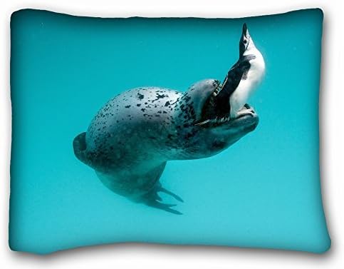 Decorative Standard Pillow Case Animals leopard seal penguin s food hunting mining water 20"*26" One Side