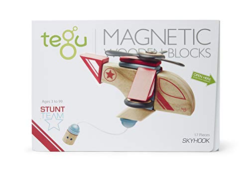 Tegu Skyhook Magnetic Wooden Block Set
