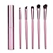 Aisxle 5 Piece Eye Makeup Brush Kit - Beauty and Travel Set - All In One - Soft Bristles and Easy to Carry - Easy to Use - Professional Eyeshadow Brush Makeup Kit - Full Set of Eye Brushes Whenever You Need Them - Perfect for Smokey Eye and More