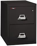 Fireking Fireproof Vertical File Cabinet (2 Legal Sized Drawers, Impact Resistant, Waterproof), 27.75