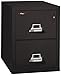 Fireking Fireproof Vertical File Cabinet (2 Legal Sized Drawers, Impact Resistant, Waterproof), 27.75