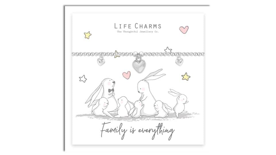 Life Charms Rosey Rabbit - Family Is Everything Silver Plated Bracelet - Beautiful Gift For Her - Women's, Ladies, Girl's, Female Jewellery