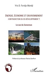 Énergie, économie et environnement