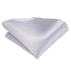 Hi-Tie Mens Silver Tie Set Woven Light Gray Silk