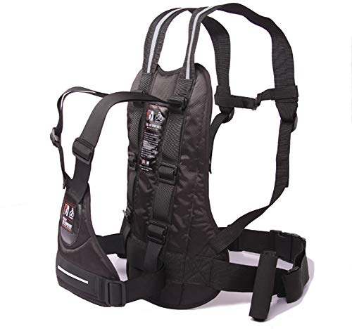 LOLBUY High Strength Childrens Motorcycle Safety Harness Can be Adjusted Up and Down,Black.