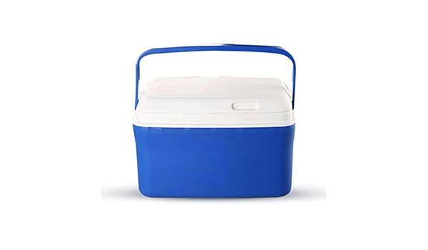Nevera portátil 10 L Mini de frigorífico camping playa picnic ...