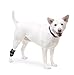 Hock Wrap | Dog Brace for Rear Leg | Joint Support for Dogs | Helps Canine Arthritis