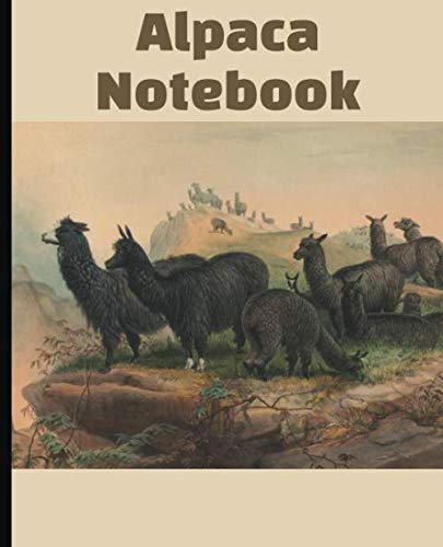 Alpaca Notebook: Black Alpaca Sketch Blank College Ruled Composition Notebook