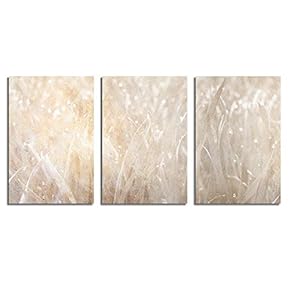 Canvas Wall Art Abstract Vintage Style...
