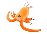 Giant Microbes Copepod (Centropages hamatus) Plush Toy