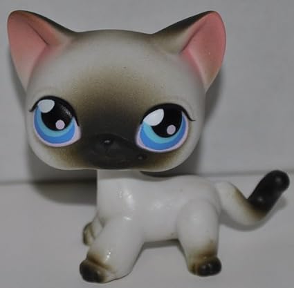 Amazon Com Siamese Kitten 5 Short Hair 4 Paws White Brown