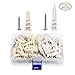 JUIDINTO Drywall Anchors with Screws Assortment Kit, Plastic Wall Anchor and Stainless Steel Screw, 2 Sizes Self Drilling Drywall Anchor with Philips Flat Head Tapping Screw Set for Decorative Hanging