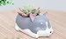 Cuteforyou Cute Animal Shaped Cartoon Home Decoration Succulent Vase Flower Pots (Husky)