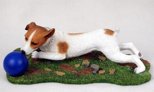 russell terrier smooth coat